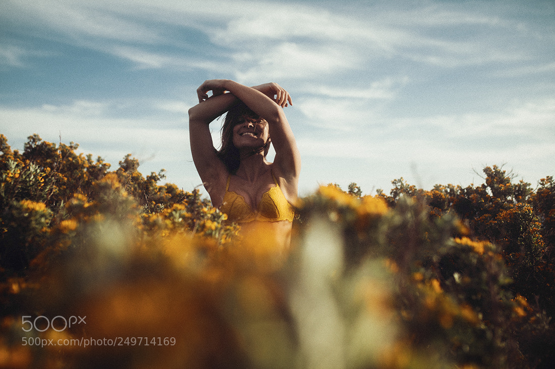 Canon EOS 5D Mark IV sample photo. Provence photography