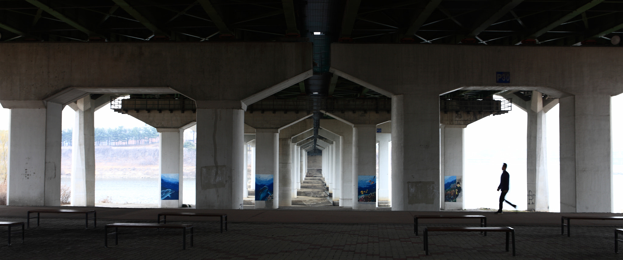 Canon EOS-1Ds Mark III sample photo. Under the bridge photography