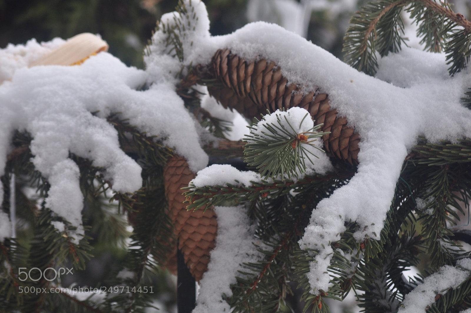 Nikon D5000 sample photo. Beginning of the end photography