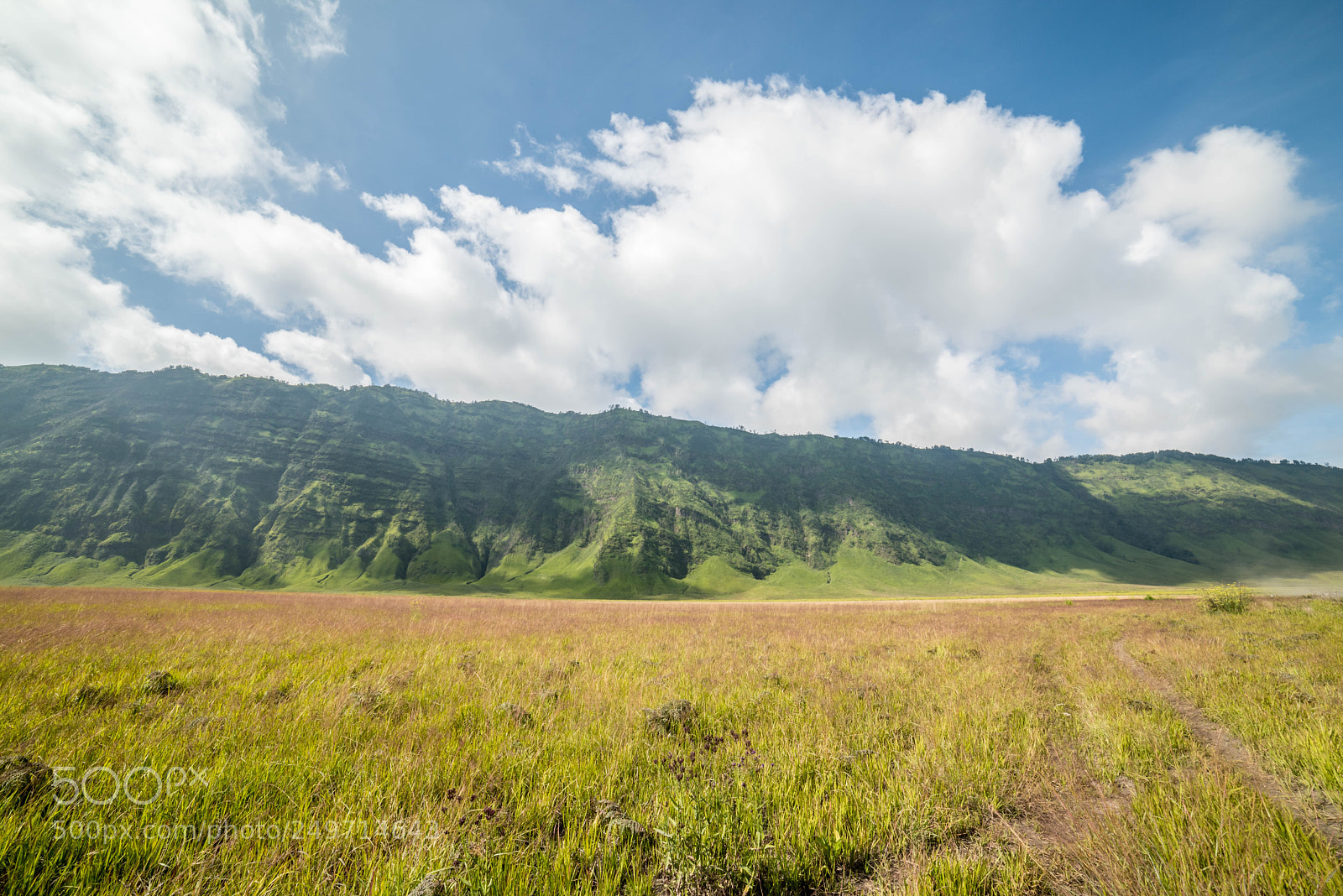 Nikon D810 sample photo. Untitled photography