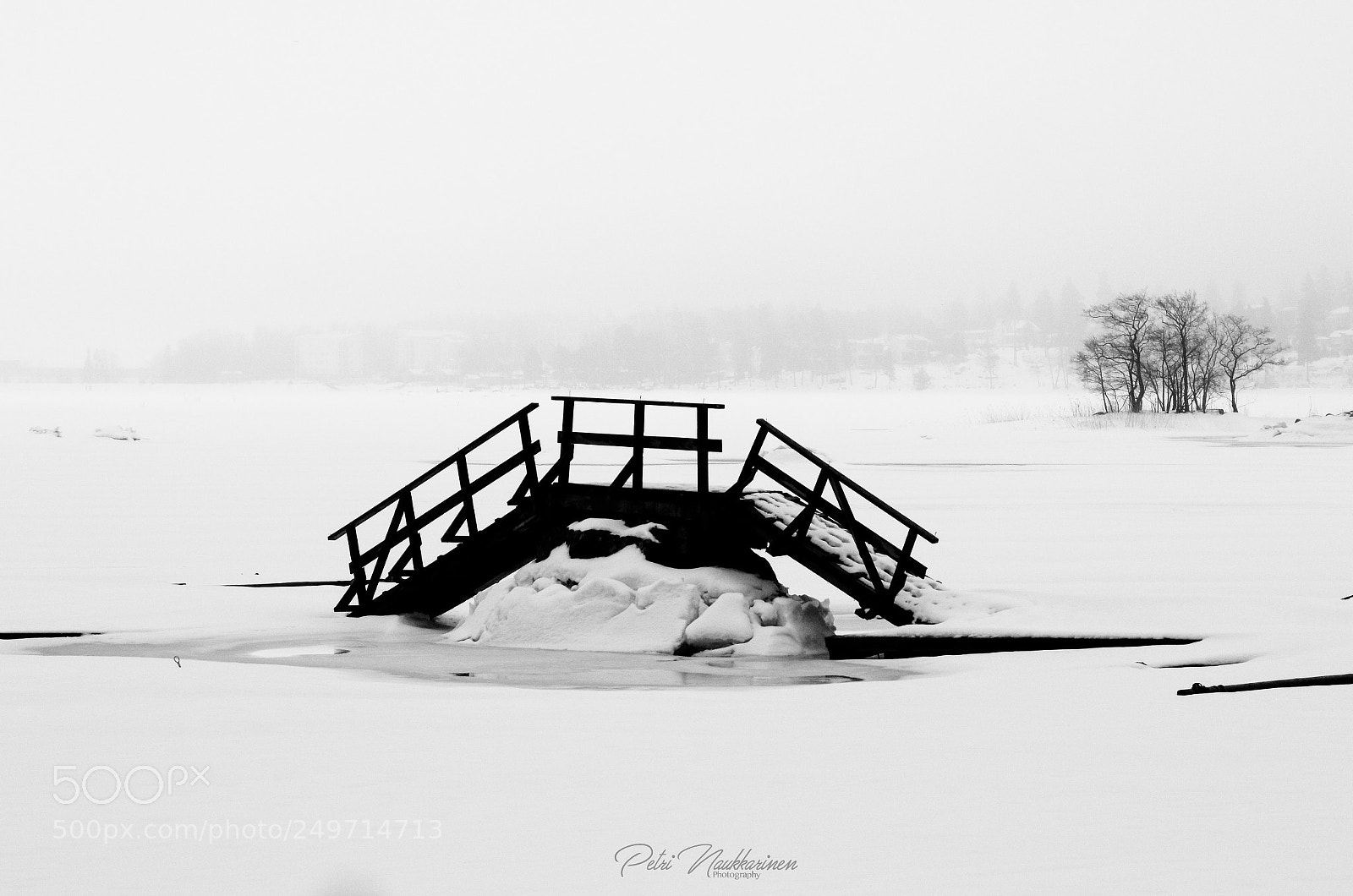Canon EOS 7D Mark II sample photo. Bridge photography