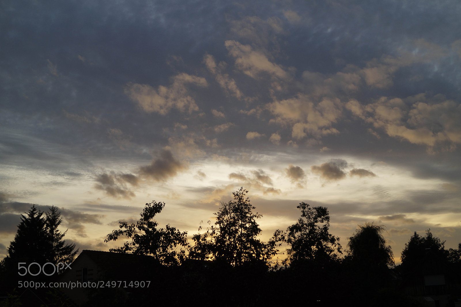 Sony SLT-A58 sample photo. Sunset behind trees photography