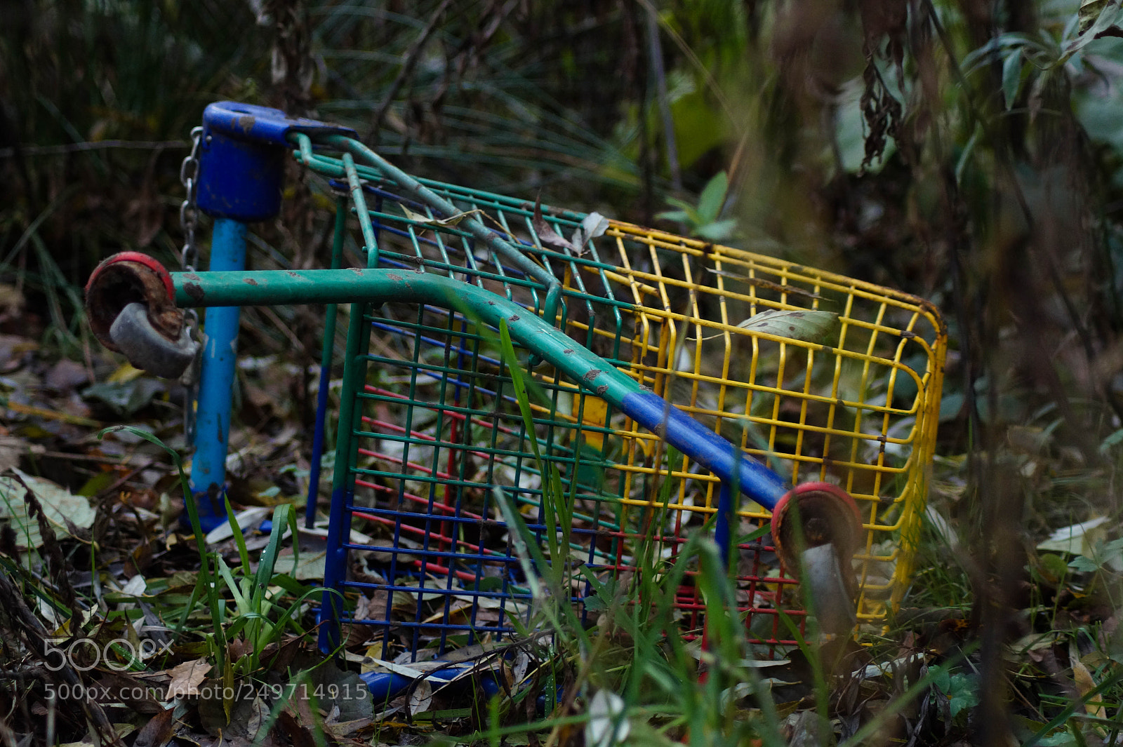 Sony SLT-A58 sample photo. Shopping cart photography