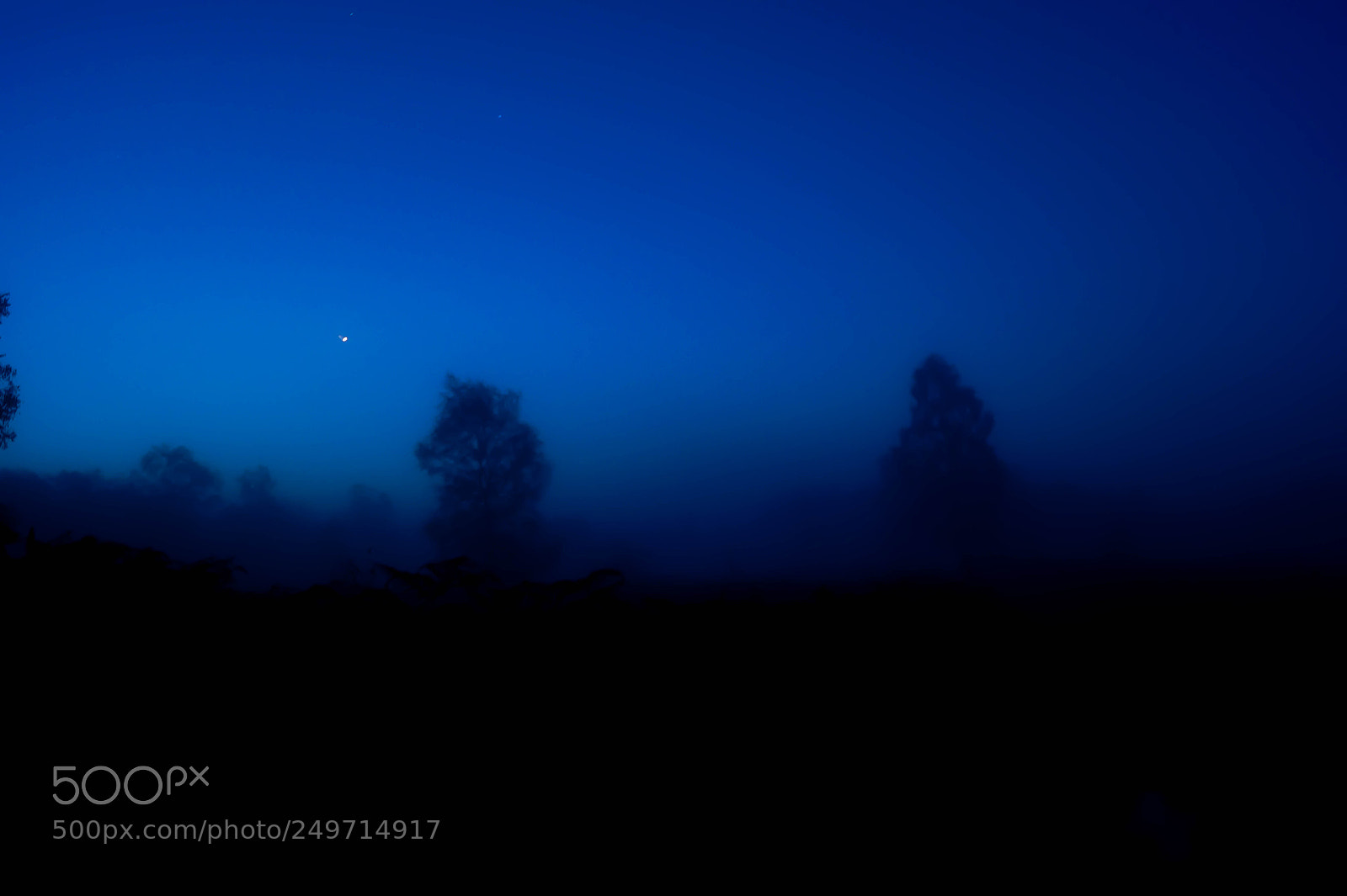 Sony SLT-A58 sample photo. Foggy night photography