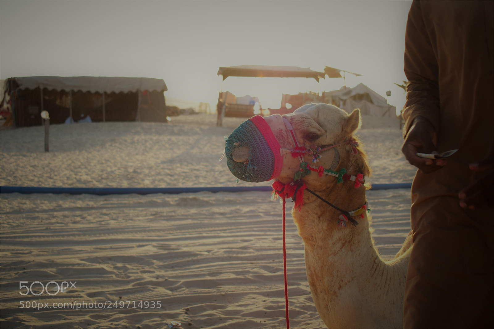 Nikon D3300 sample photo. Qatar photography