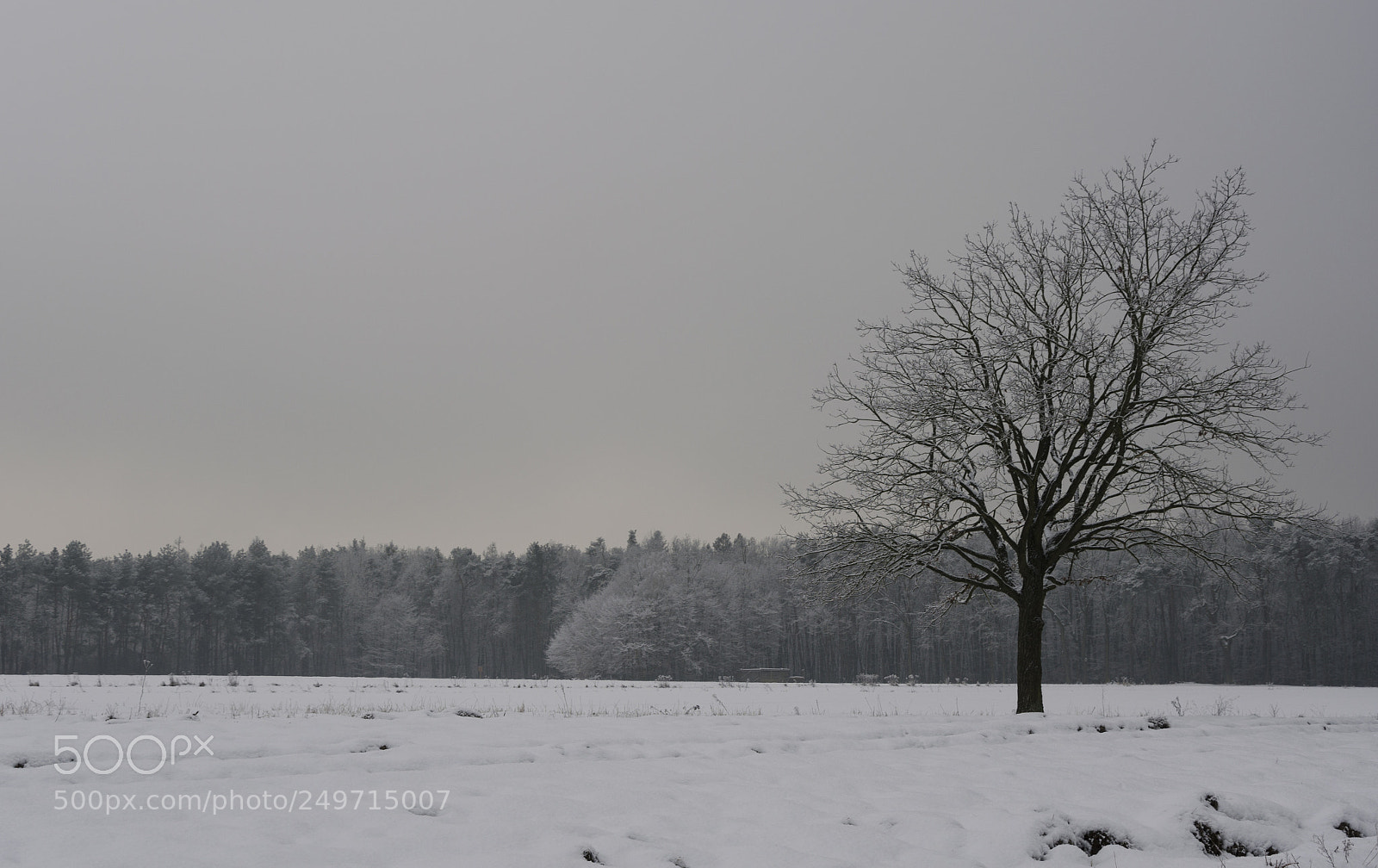 Nikon D5100 sample photo. Existence photography