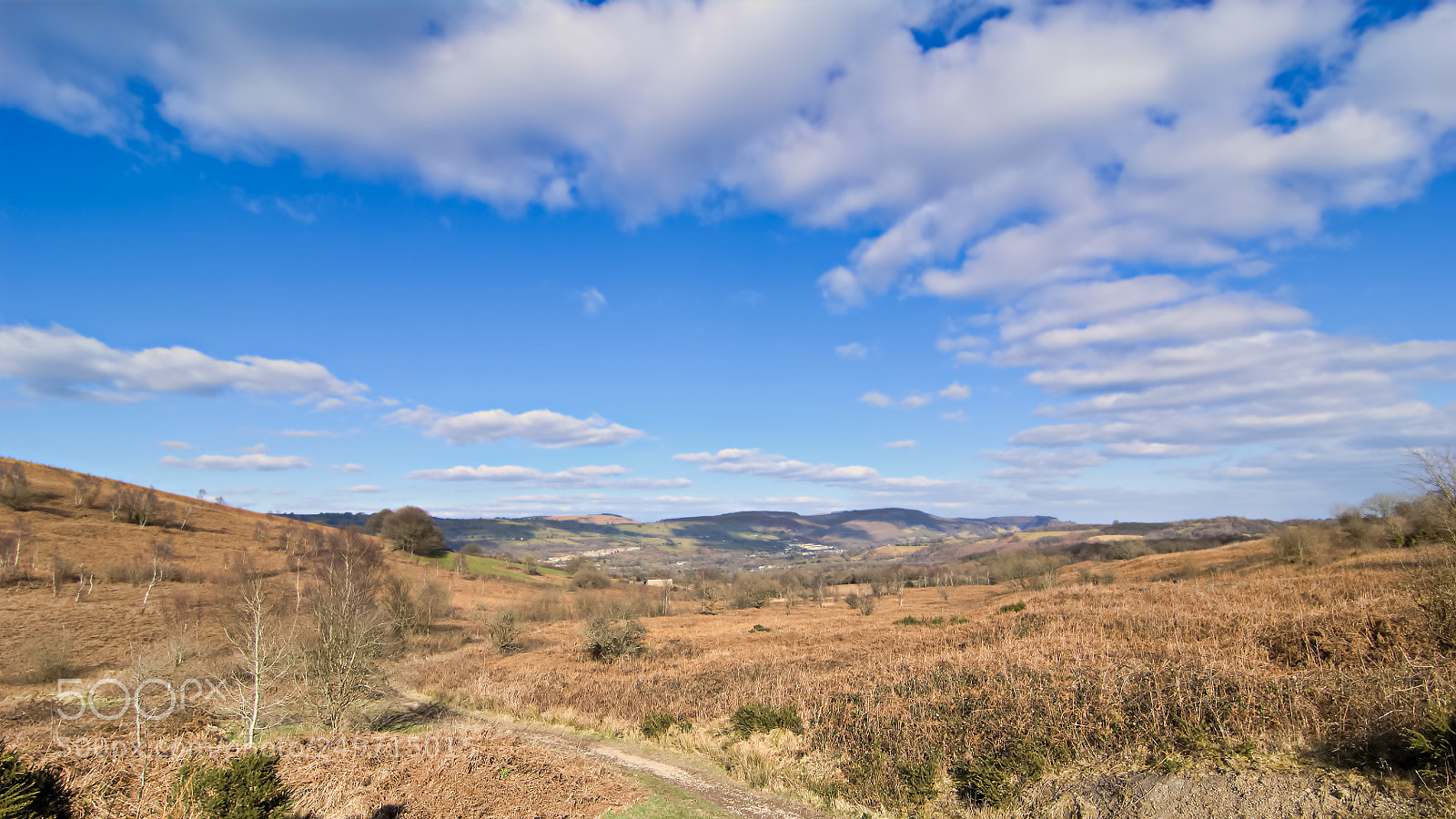 Nikon D2X sample photo. Rudry common photography