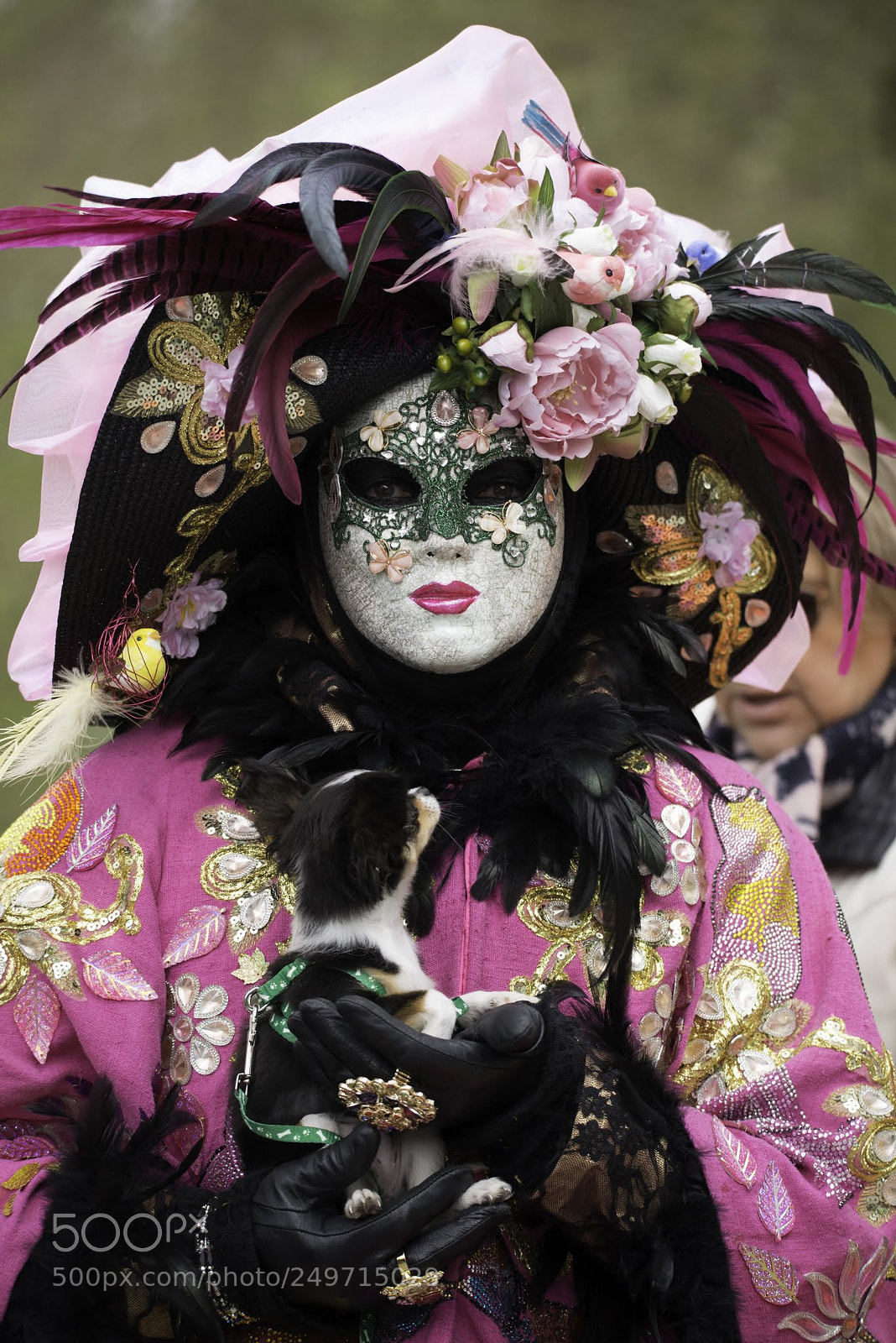 Nikon D800E sample photo. Les costumés d'annevoie photography