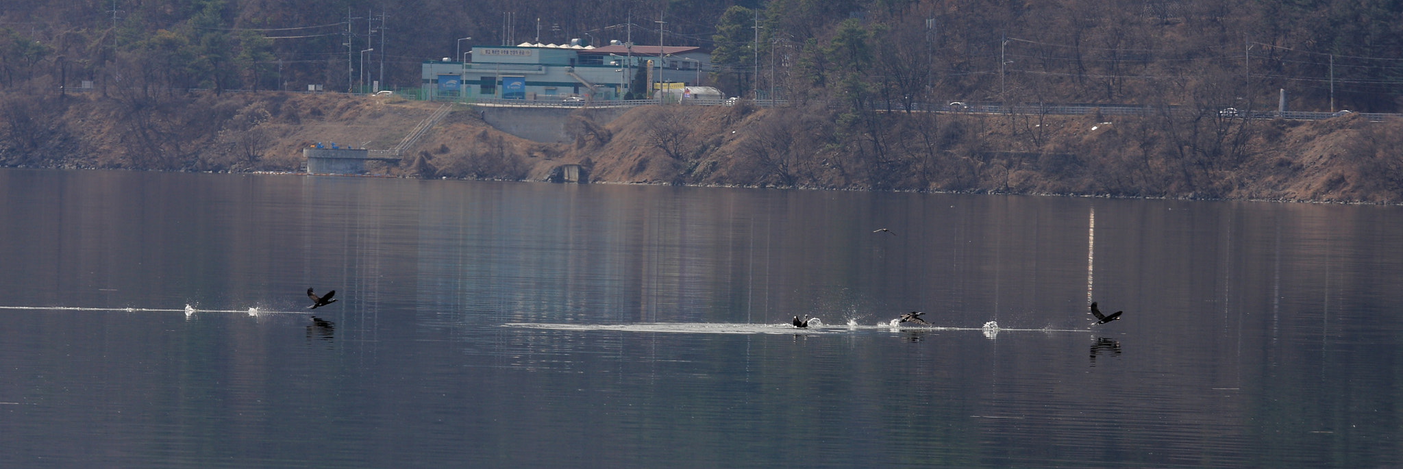 Canon EF 80-200mm f/2.8L sample photo. Racing photography