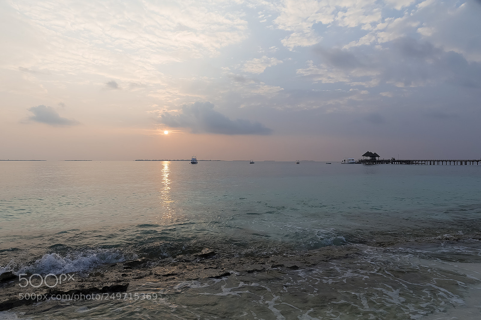 Canon EOS-1D X sample photo. Untitled photography
