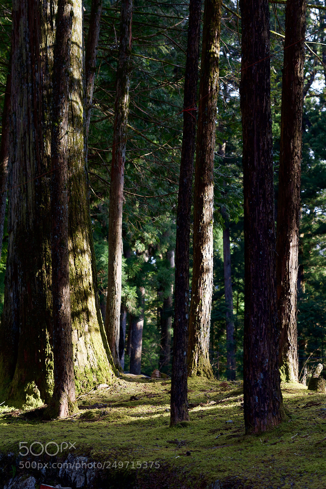 Pentax K-S2 sample photo. Shrines and temples of photography
