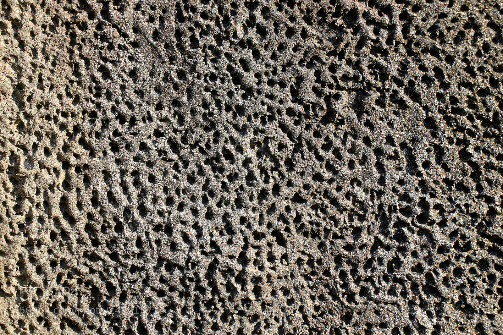 Canon EOS 650D (EOS Rebel T4i / EOS Kiss X6i) sample photo. Wall made of the photography
