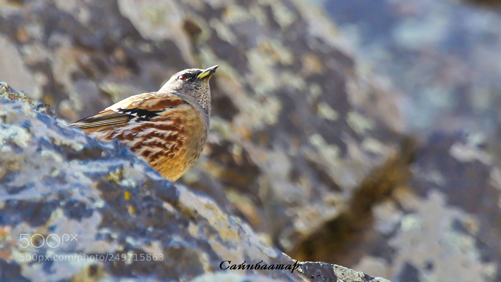 Canon EOS 7D Mark II sample photo. Untitled photography