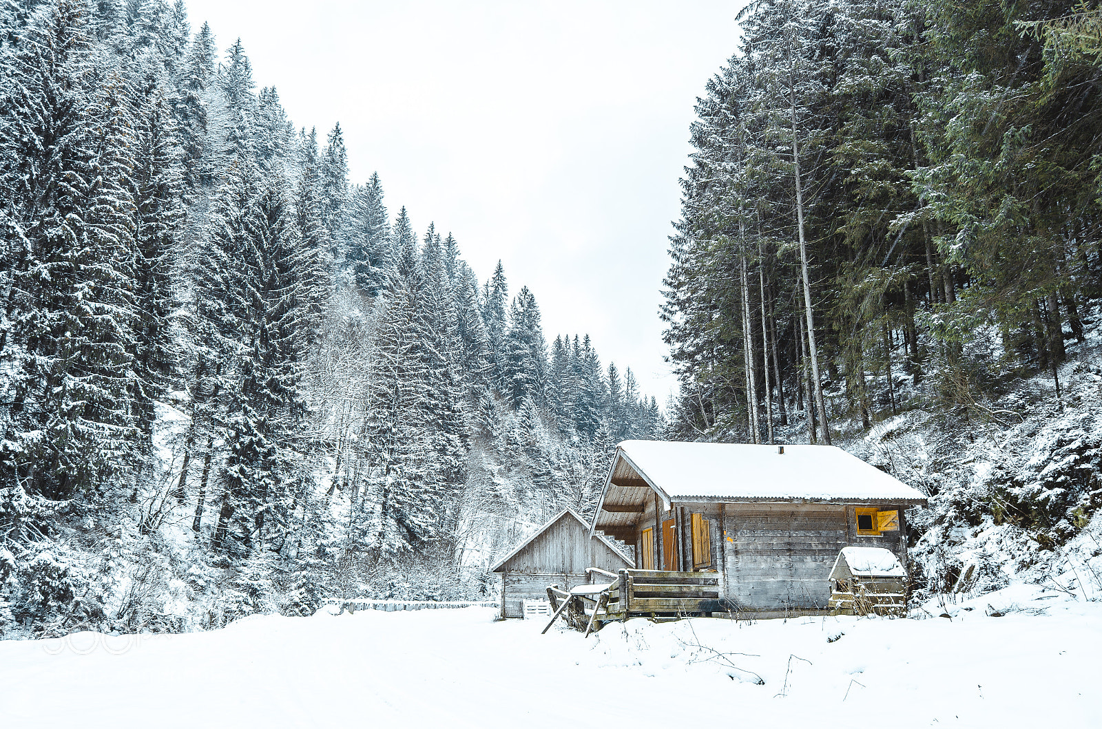 Nikon D5100 sample photo. Last snow photography