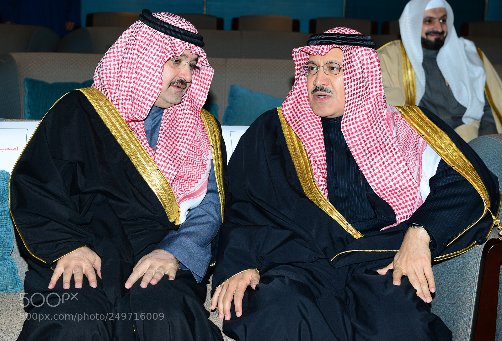 Nikon D800 sample photo. Untitled photography