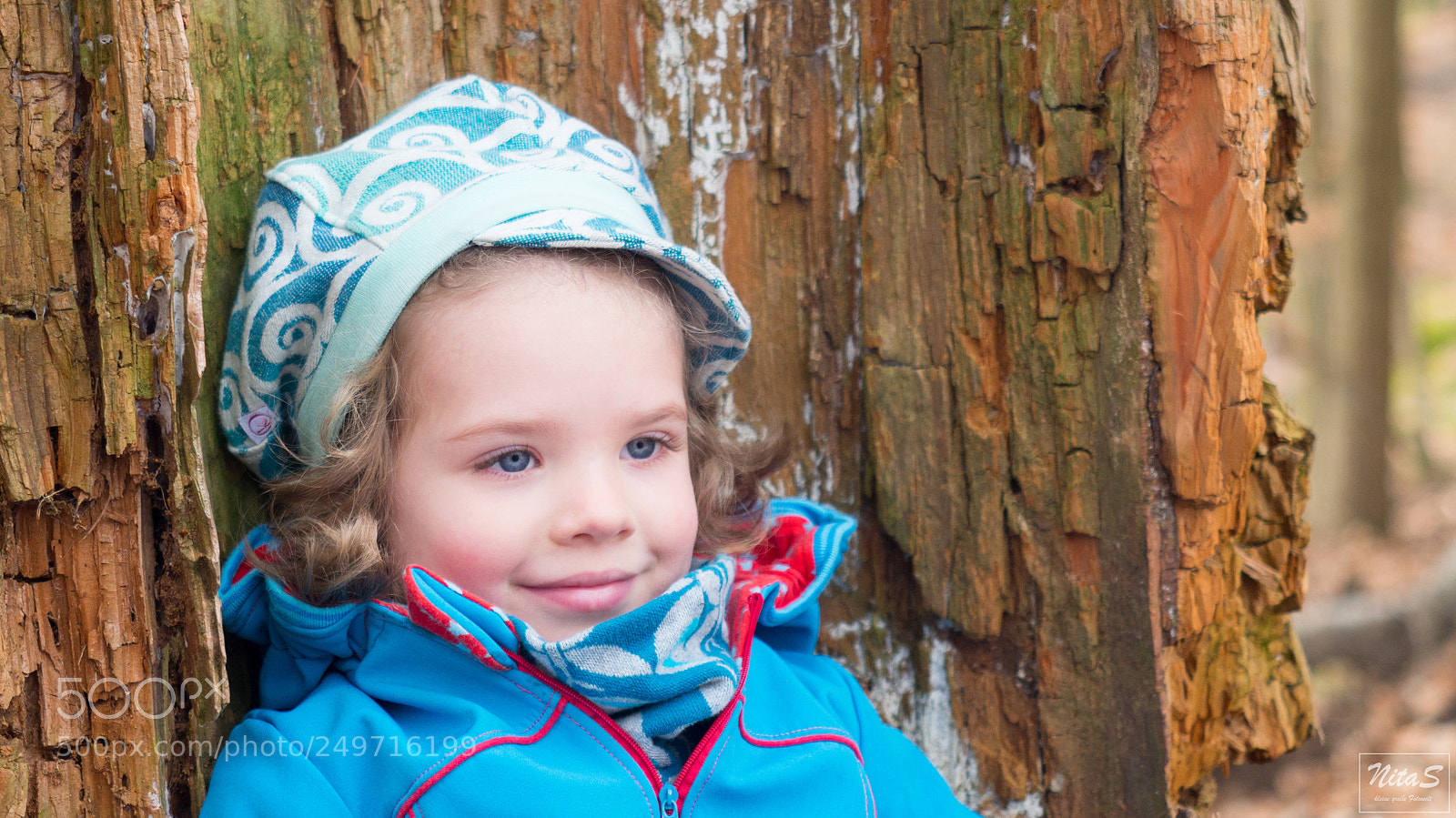 Olympus OM-D E-M1 Mark II sample photo. Wonderfull day photography