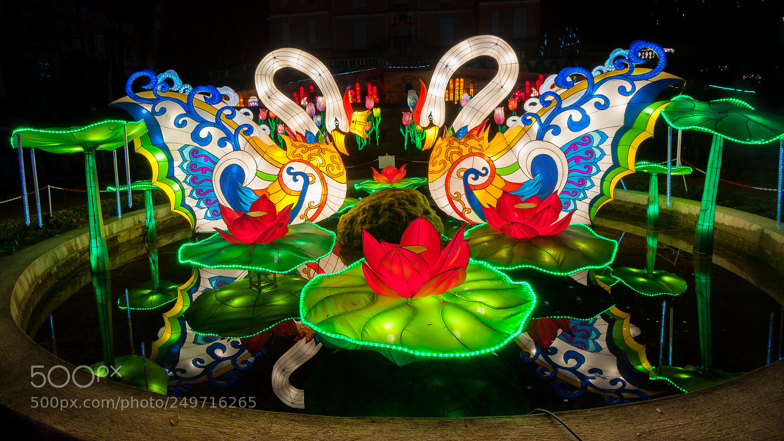 Nikon D300S sample photo. Colorful 2 photography
