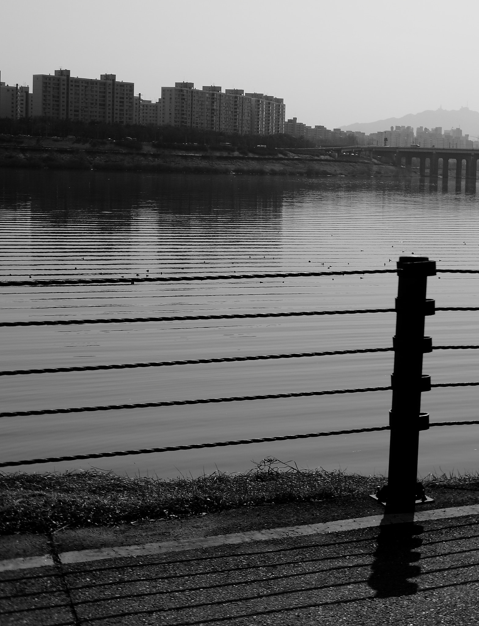 Canon EOS-1Ds Mark III sample photo. Stream lines with guard lines photography