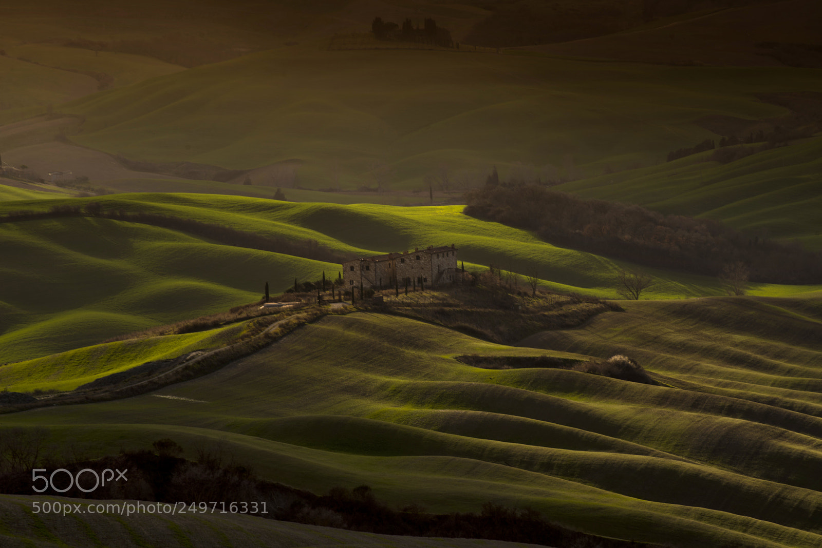 Nikon D610 sample photo. Green waves photography