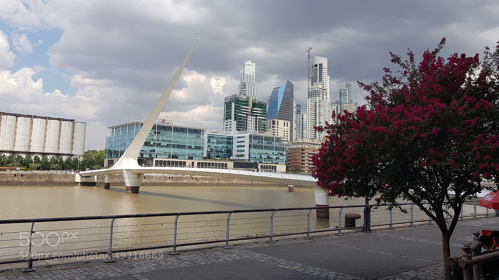 Samsung Galaxy S8+ sample photo. Forma e flor photography