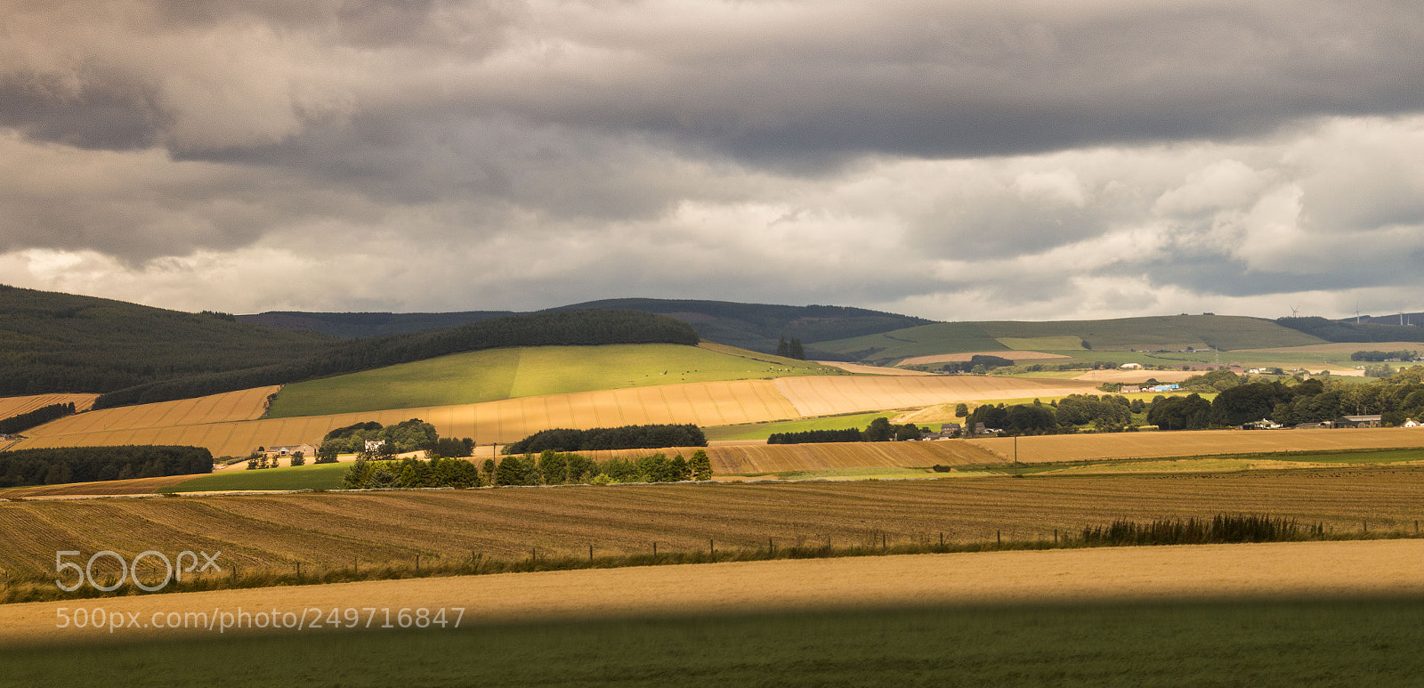 Canon EOS 70D sample photo. Fields photography