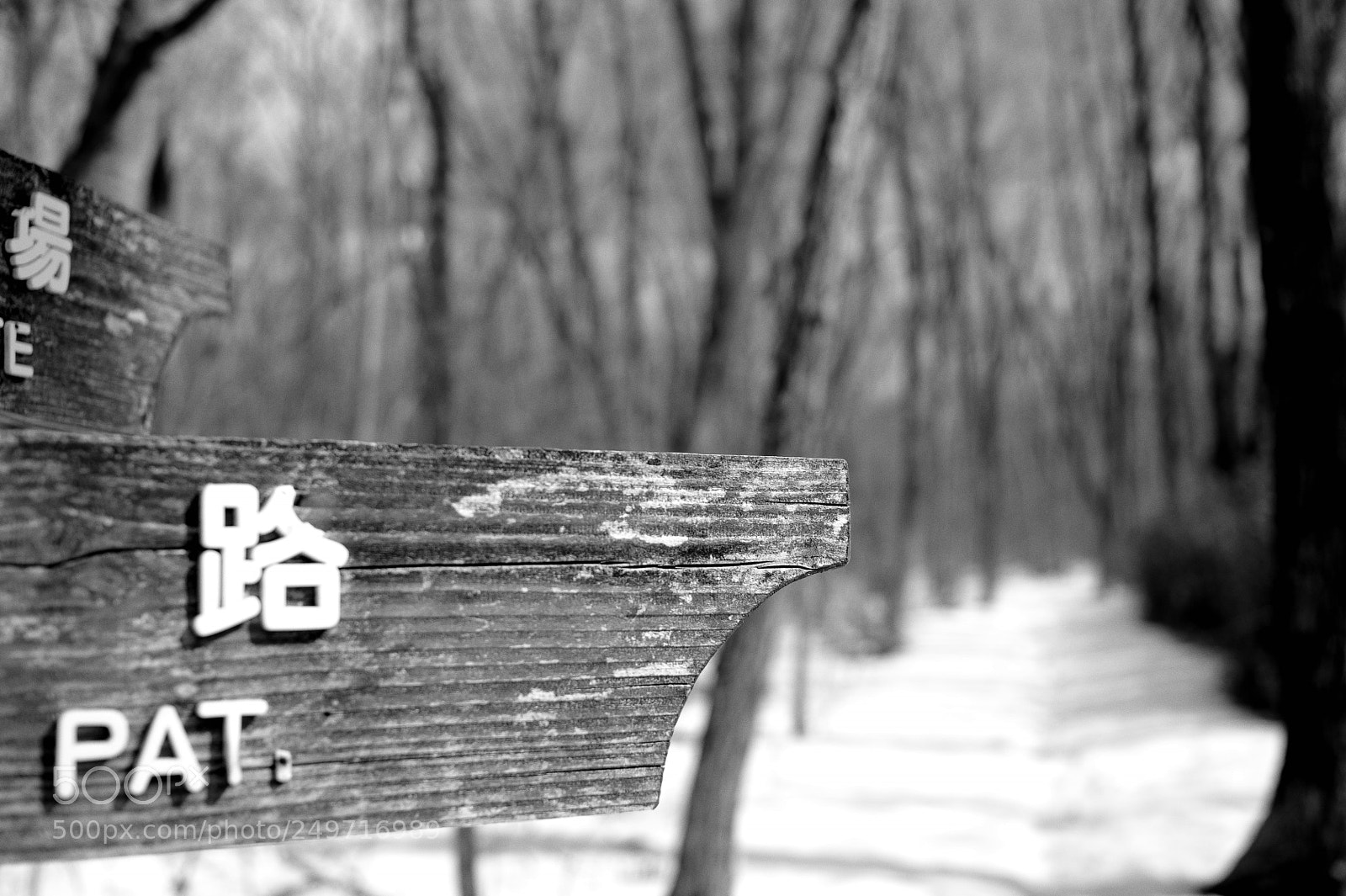 Nikon D700 sample photo. 路 photography