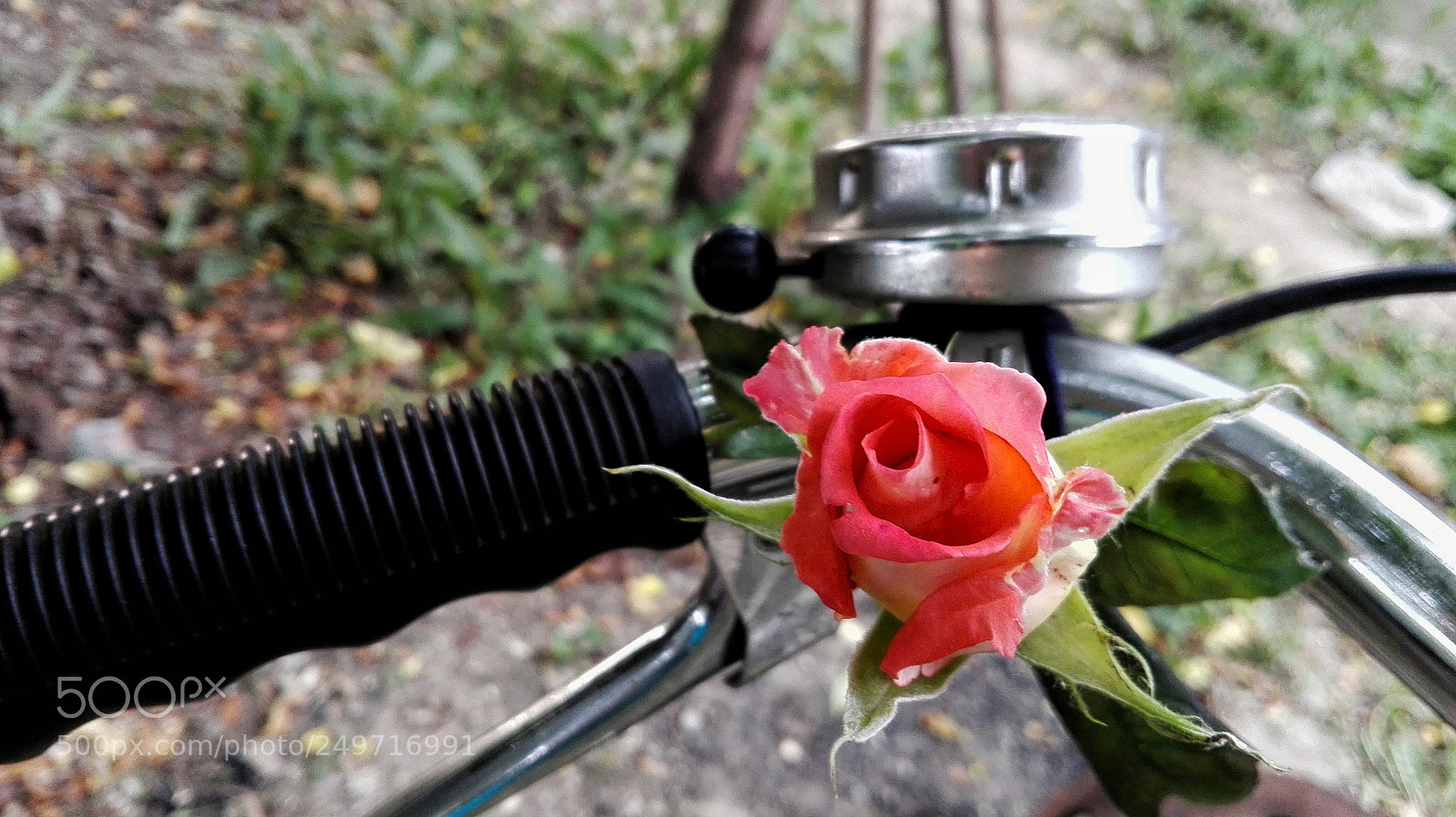 HUAWEI P8 Lite sample photo. ?? photography