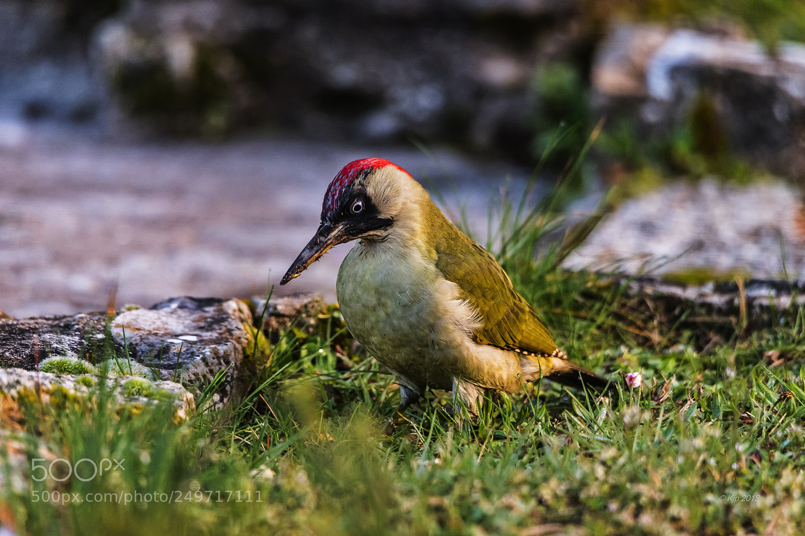 Nikon D850 sample photo. 8a1_0428_0.jpg photography