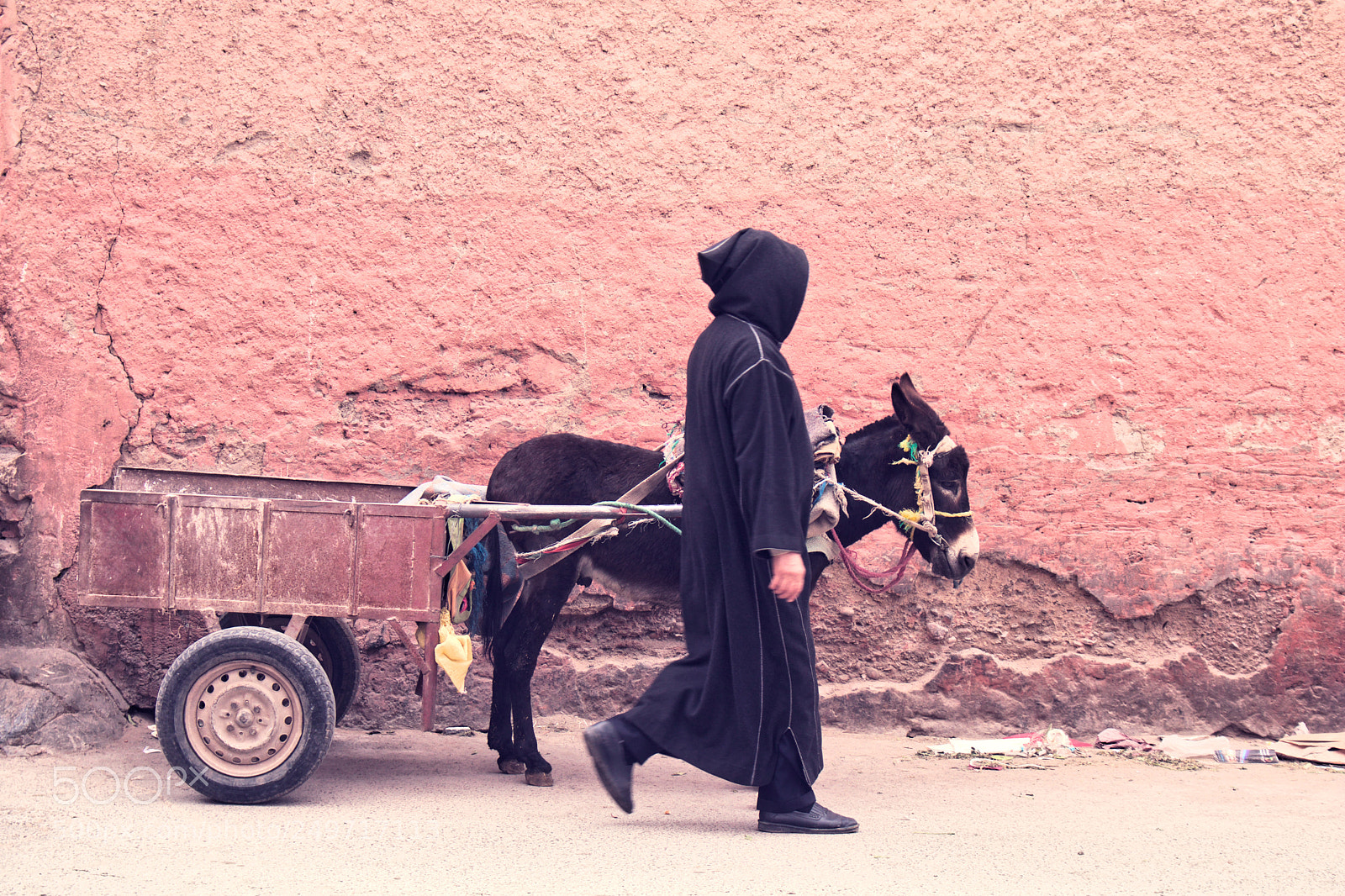Canon EOS 750D (EOS Rebel T6i / EOS Kiss X8i) sample photo. Man and his donkey photography