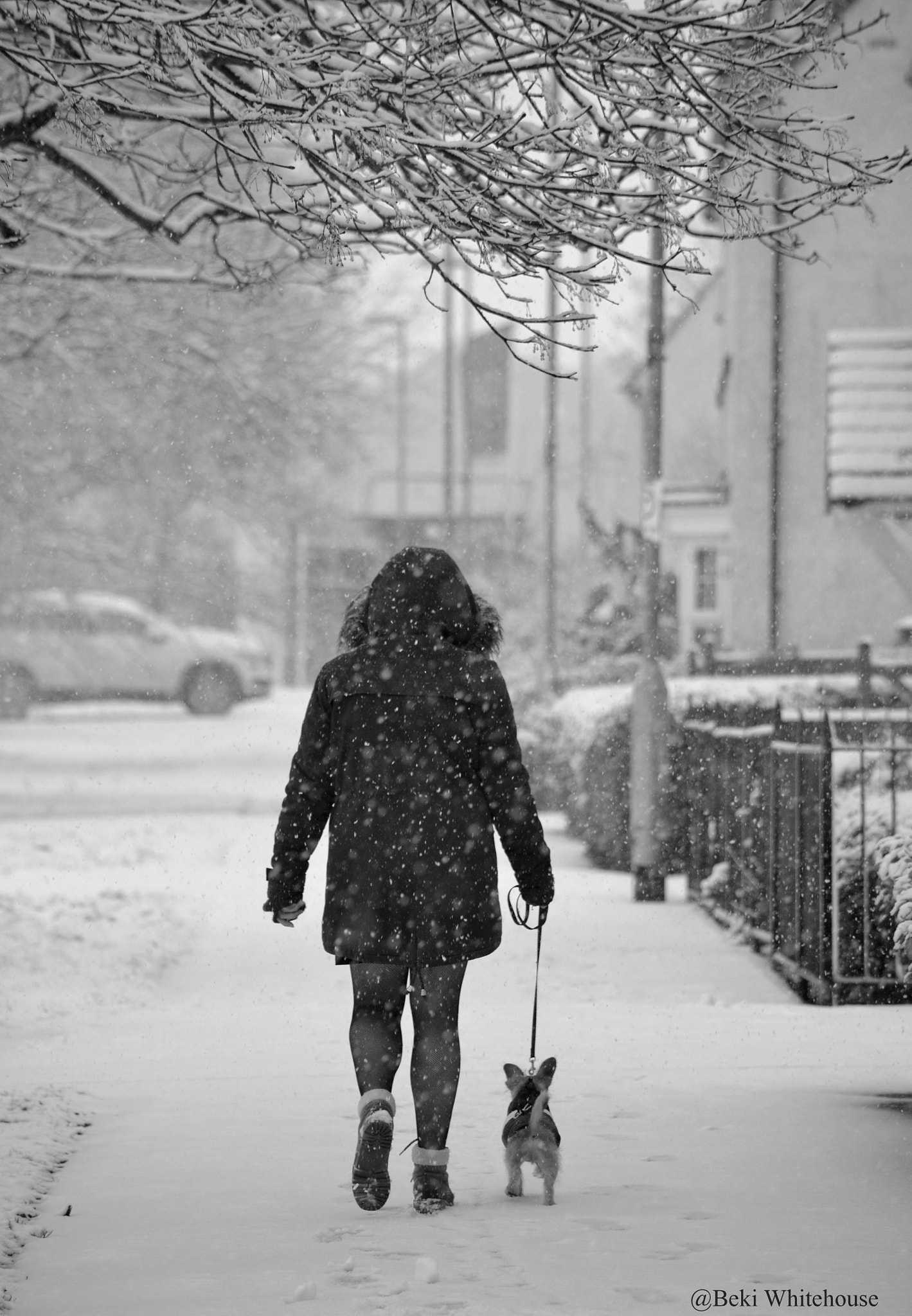 Nikon D3100 sample photo. Snow walk photography