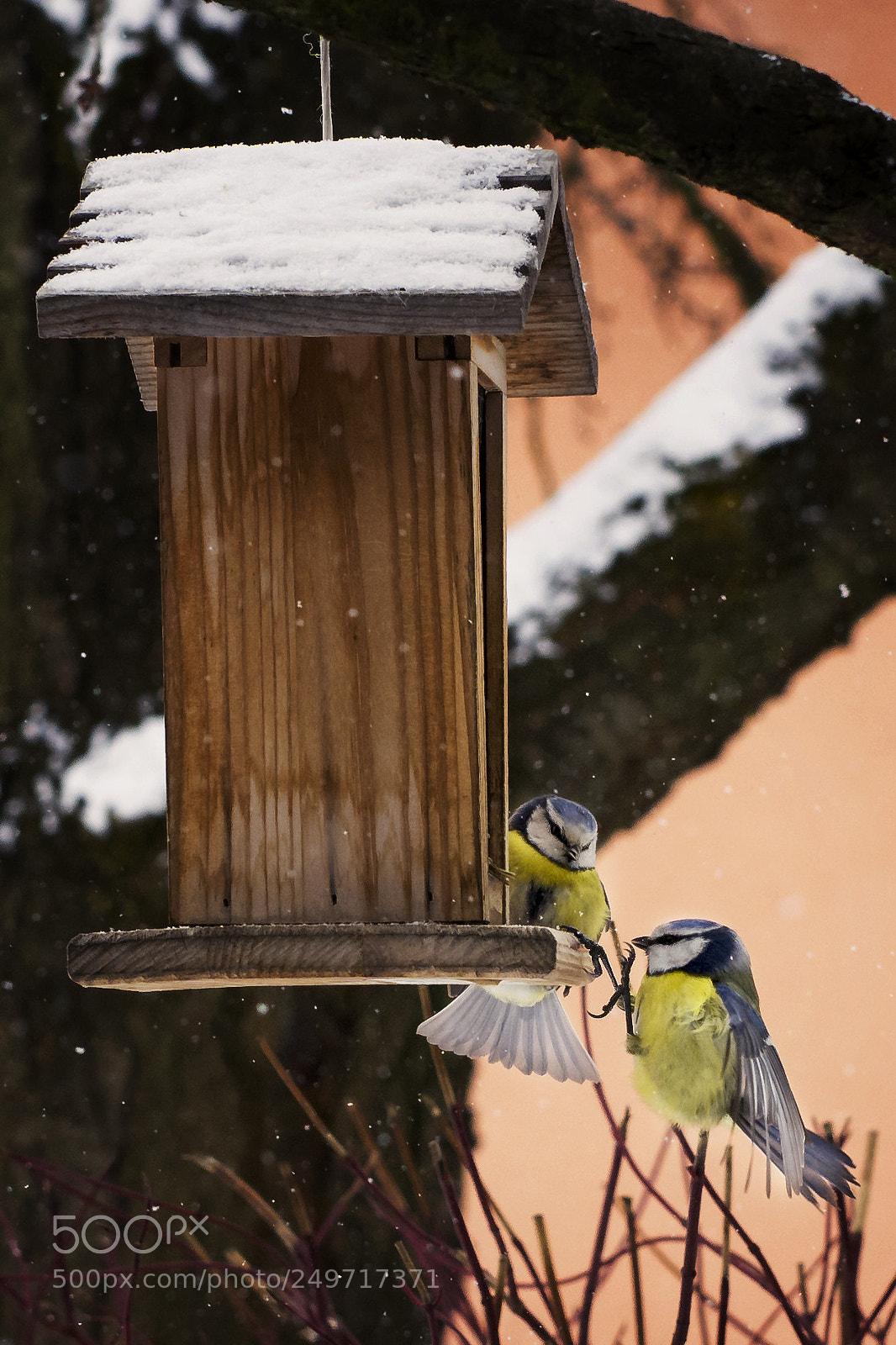 Nikon D7100 sample photo. Time to eat ... photography
