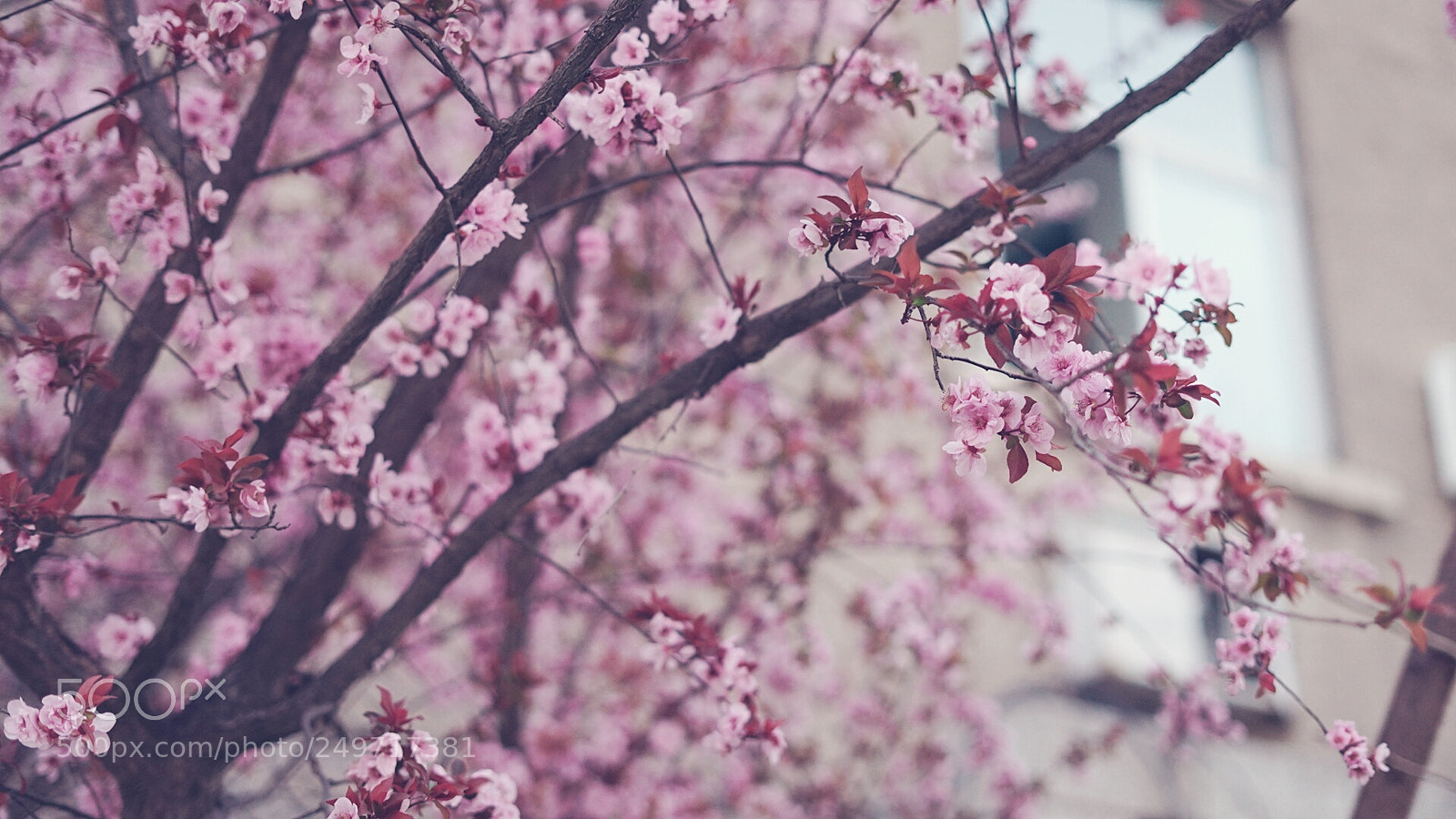 Sony a7 sample photo. Untitled photography