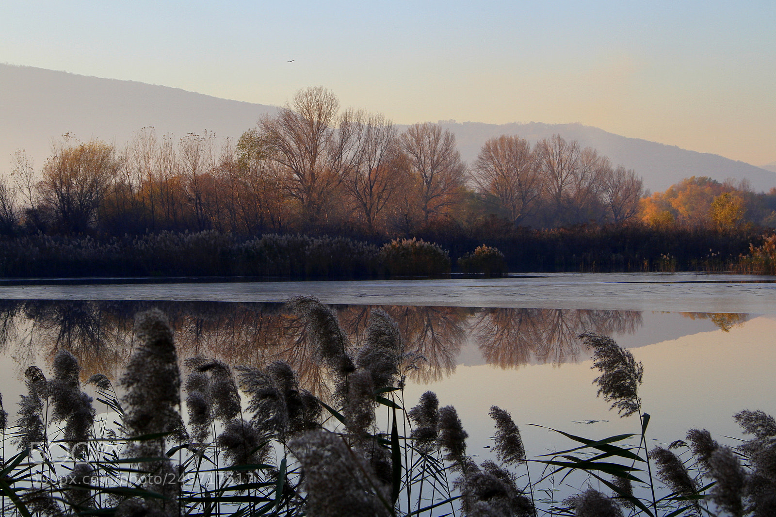 Canon EF-S 18-135mm F3.5-5.6 IS sample photo. A cold day photography