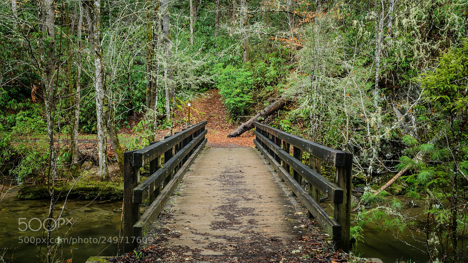 Nikon D7000 sample photo. Out through the doors photography