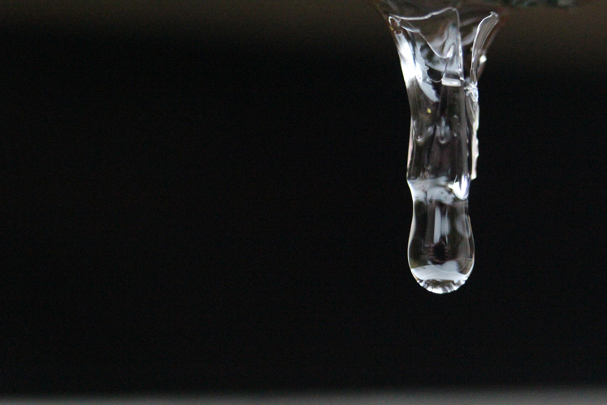 Canon EF-S 60mm F2.8 Macro USM sample photo. Img photography