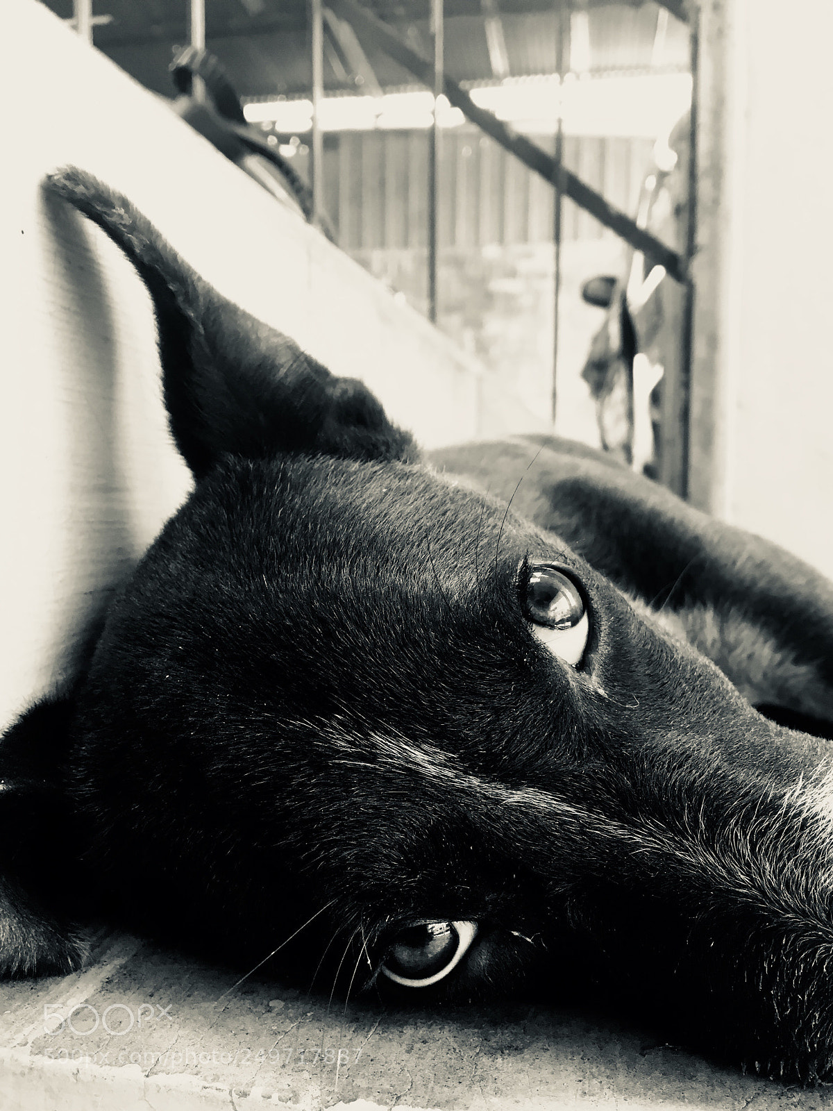 Apple iPhone SE sample photo. Untitled photography