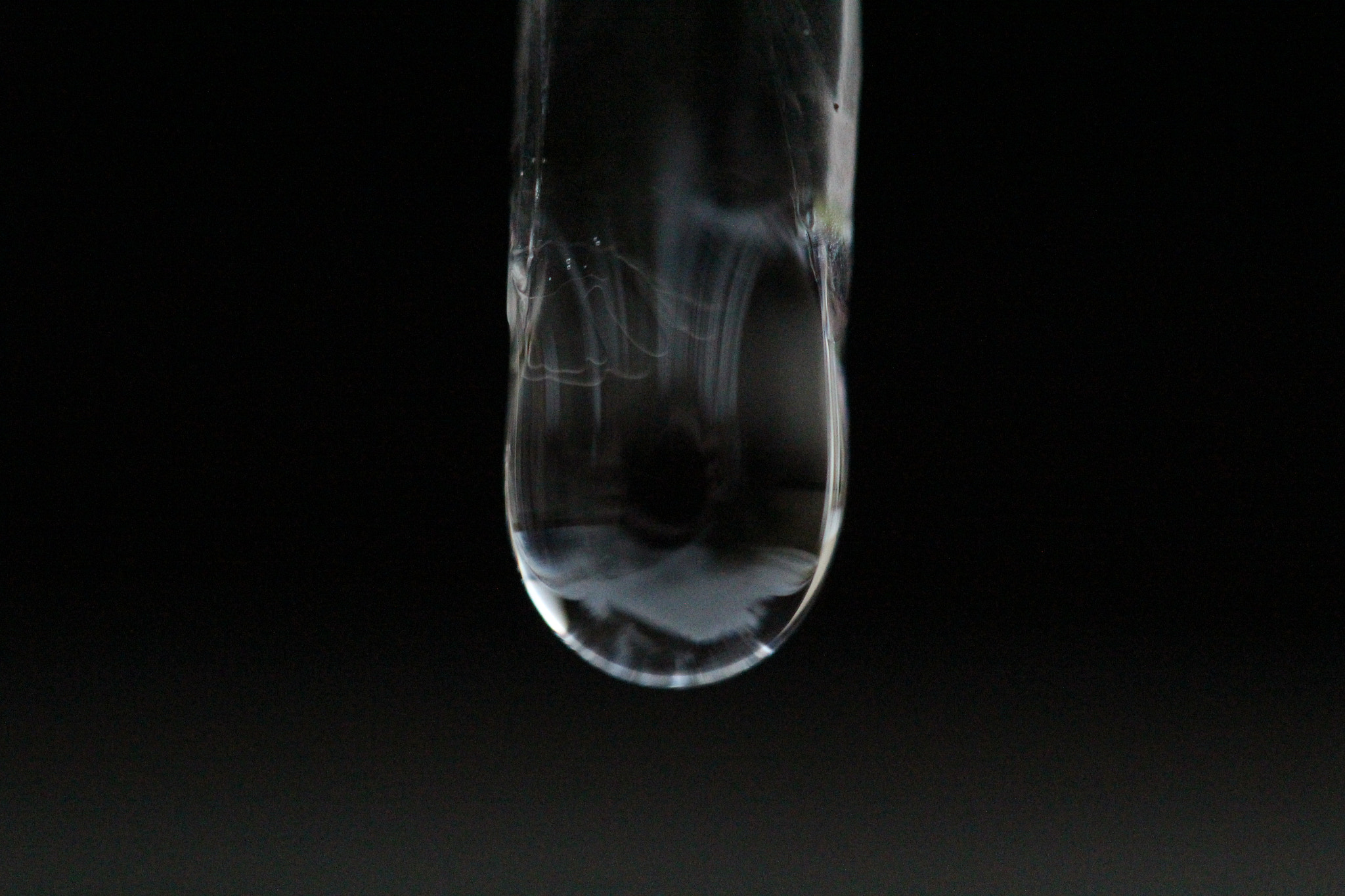 Canon EF-S 60mm F2.8 Macro USM sample photo. Img photography