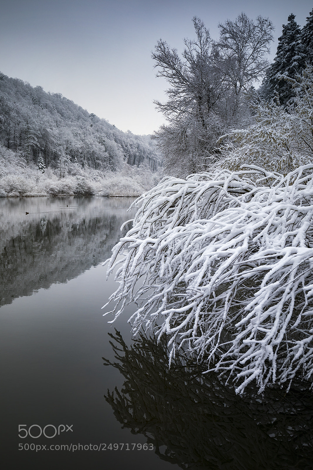 Canon EOS 5D Mark IV sample photo. Talweiher anwil im winter photography