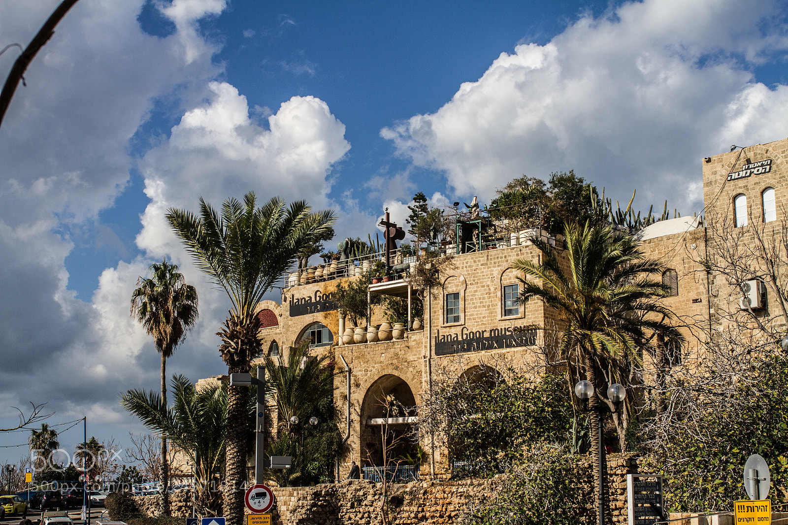 Canon EOS 7D sample photo. Palm trees and clouds photography
