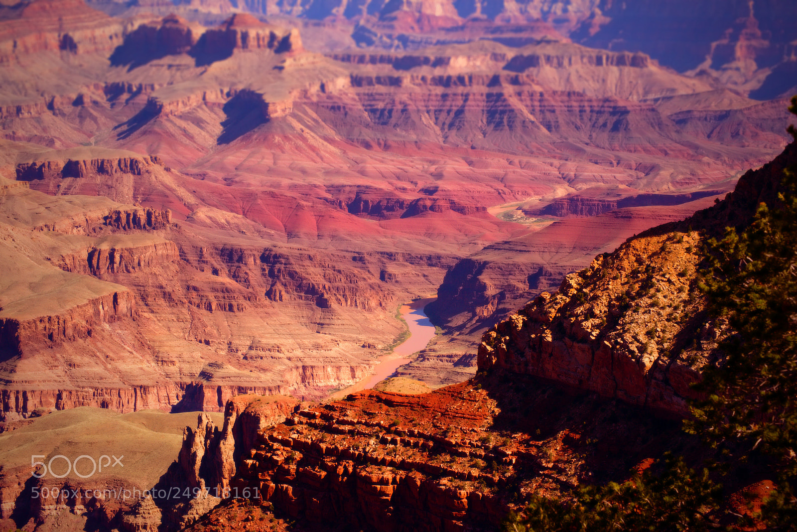 Nikon D810 sample photo. Moran point photography
