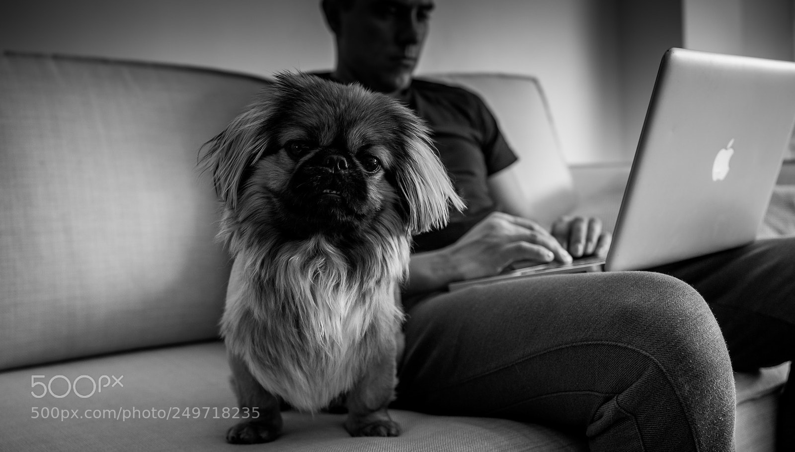 Fujifilm X-E2S sample photo. Visiting my brother photography