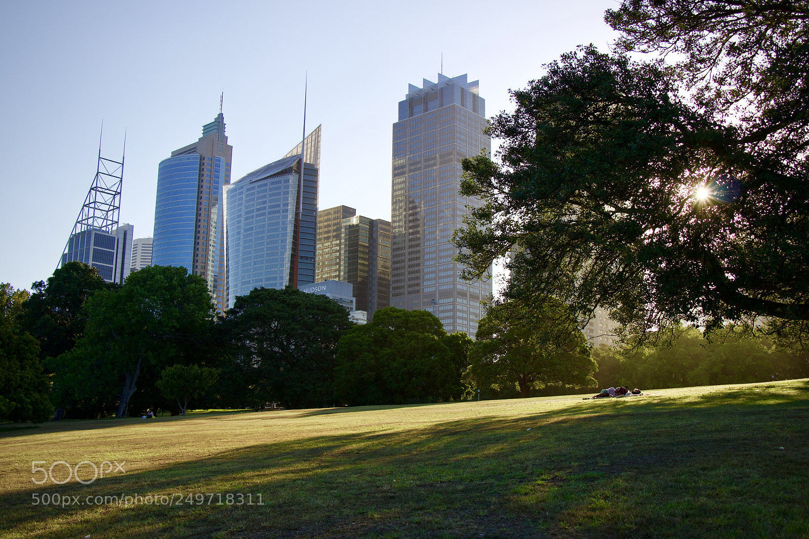 Canon EOS 70D sample photo. Royal botanic garden photography