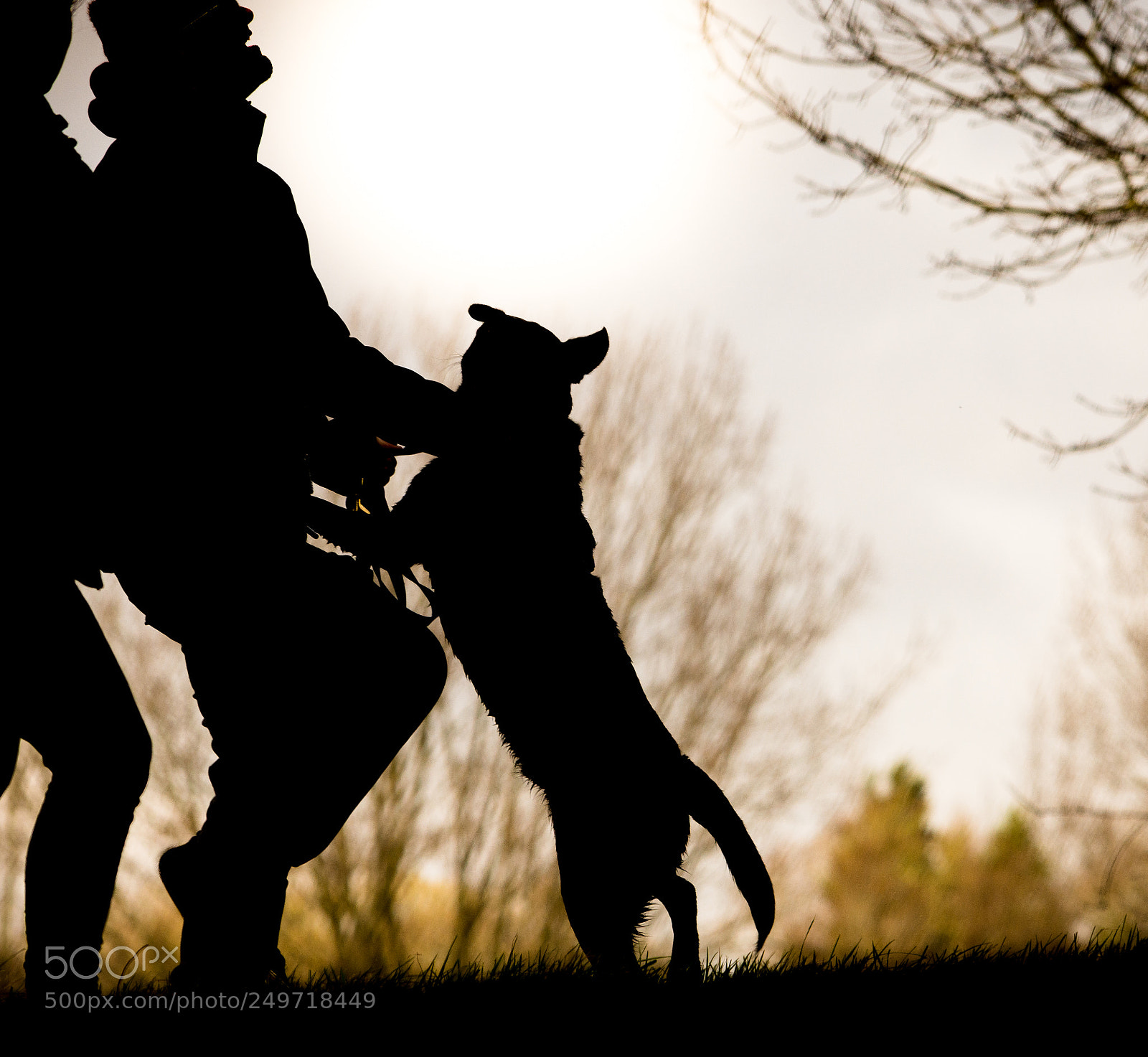 Nikon D7200 sample photo. Fun time photography
