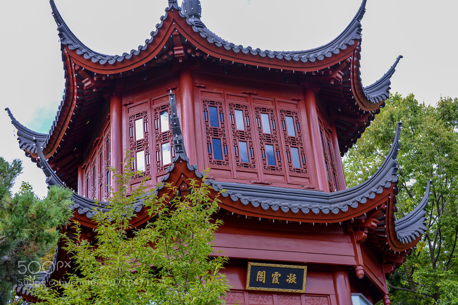 Nikon D600 sample photo. Untitled photography