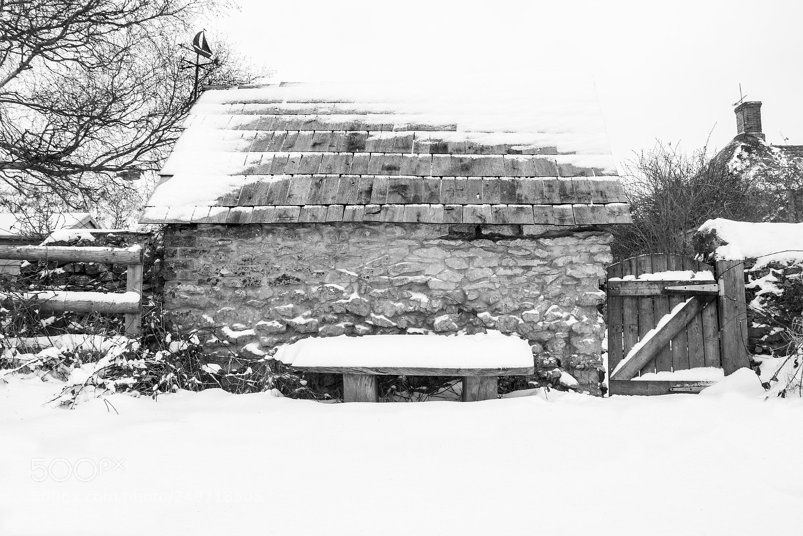 Nikon D3300 sample photo. Snow photography