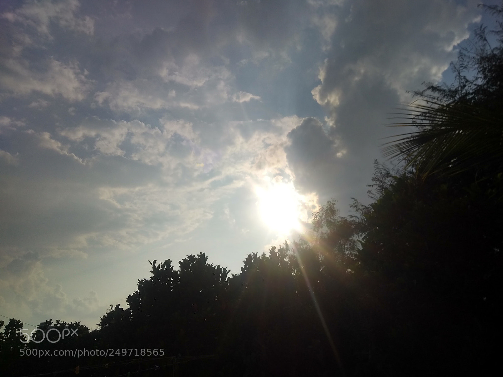 Motorola Moto G (5S) Plus sample photo. Sunshine's photography