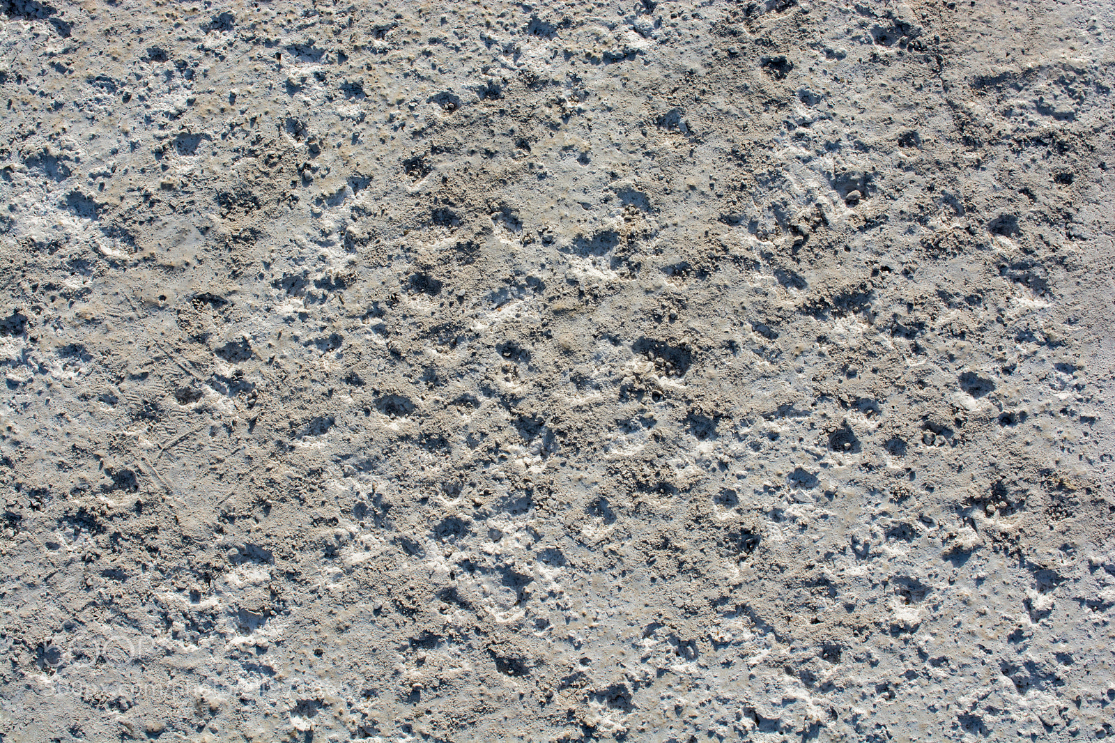 Nikon D7100 sample photo. Patterns on freshly poured photography
