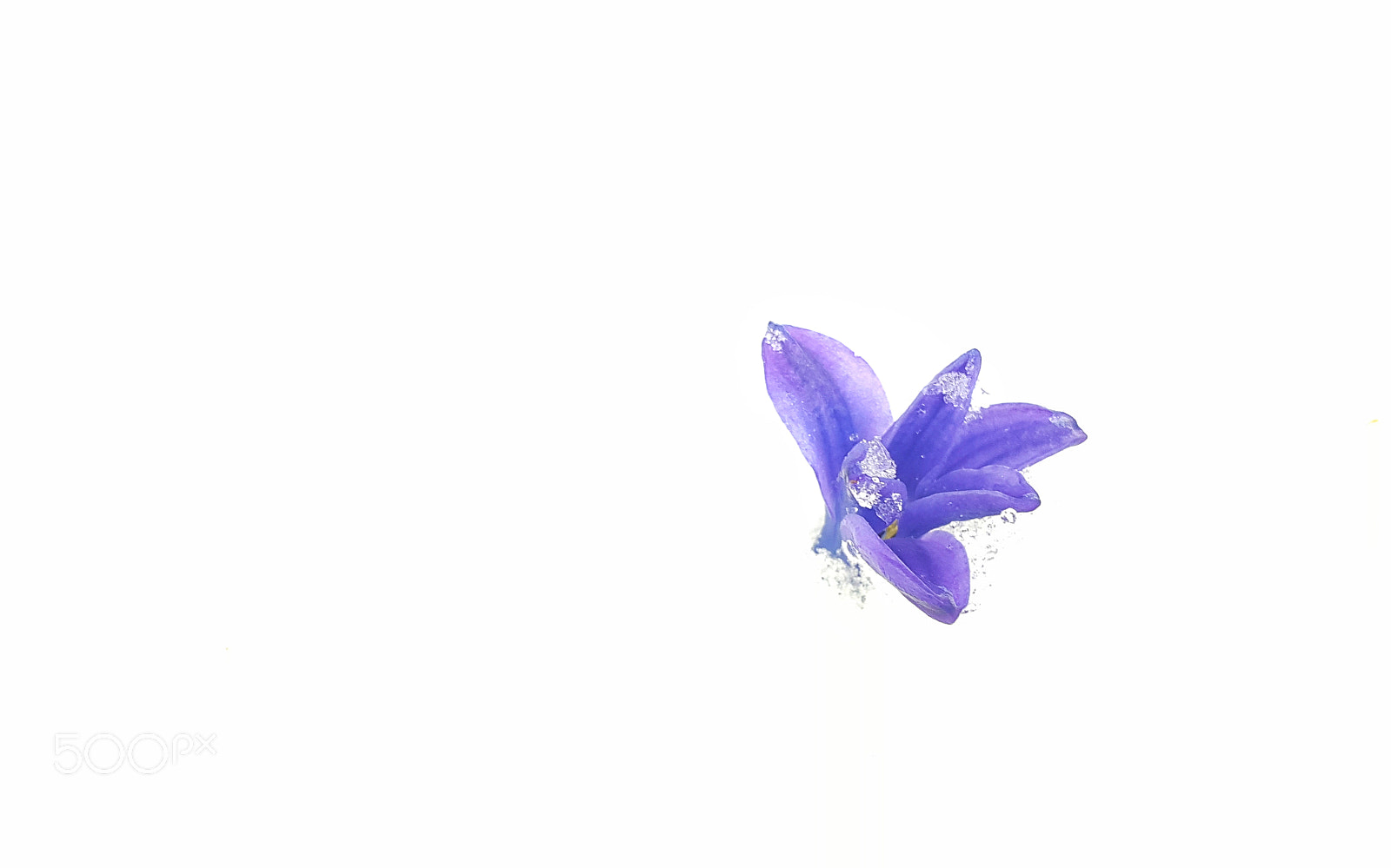 Samsung Galaxy S6 sample photo. Frozen photography
