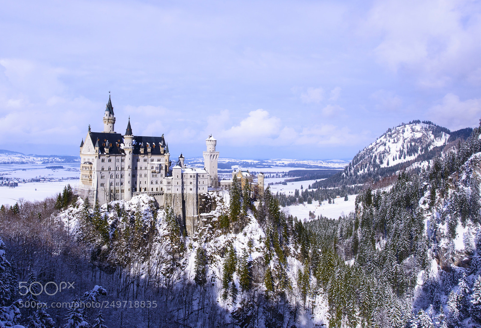 Nikon D800 sample photo. Neuschwanstein castle photography