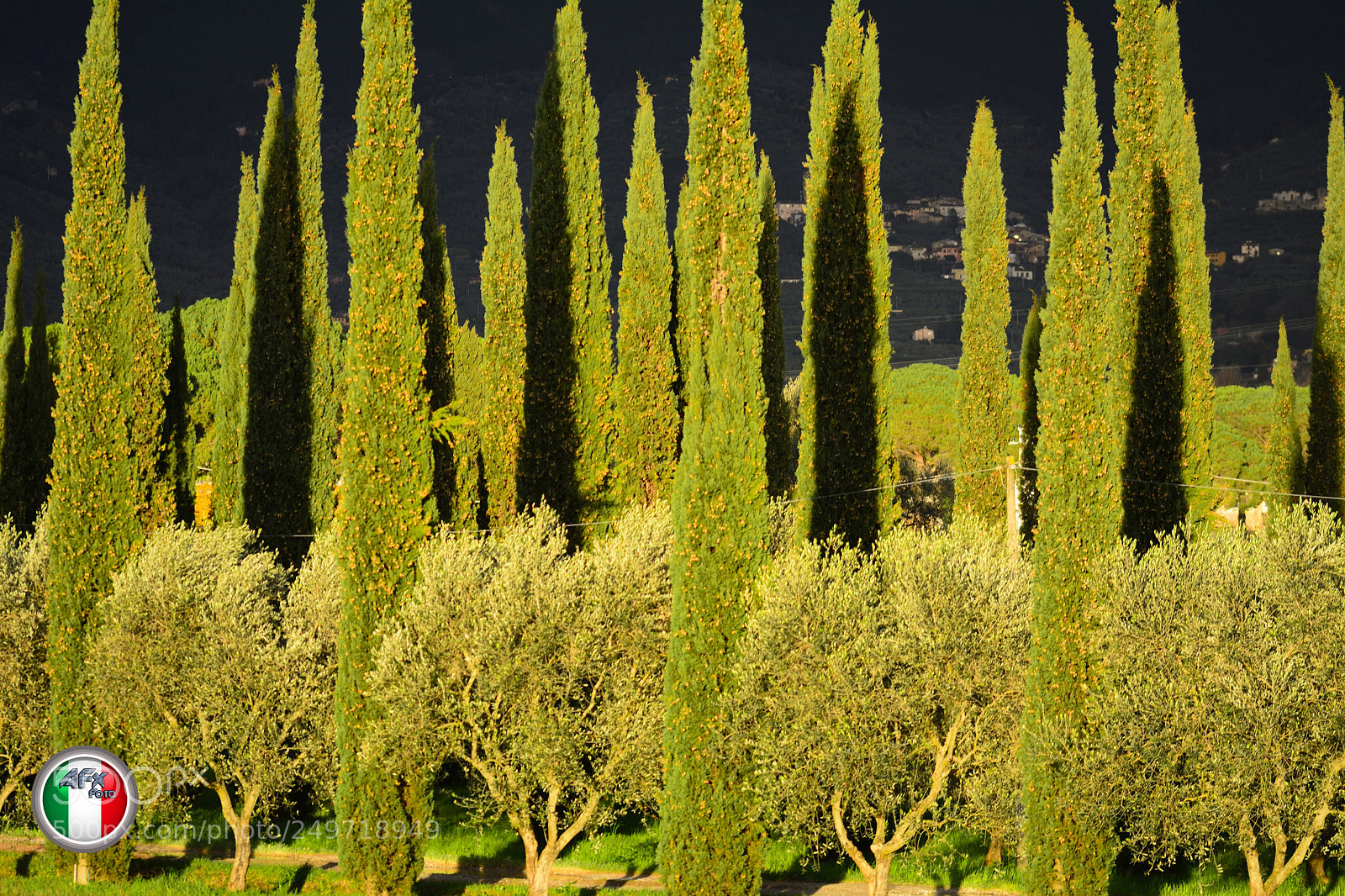 Nikon D7100 sample photo. Luci colori e ombre photography